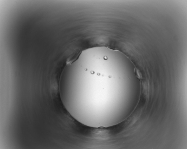 X0000089830617200707051040