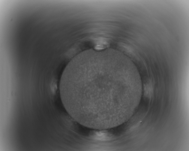 X0000089830618200707051040