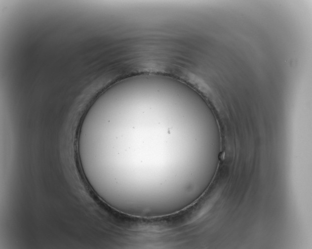 X0000089830625200707051039