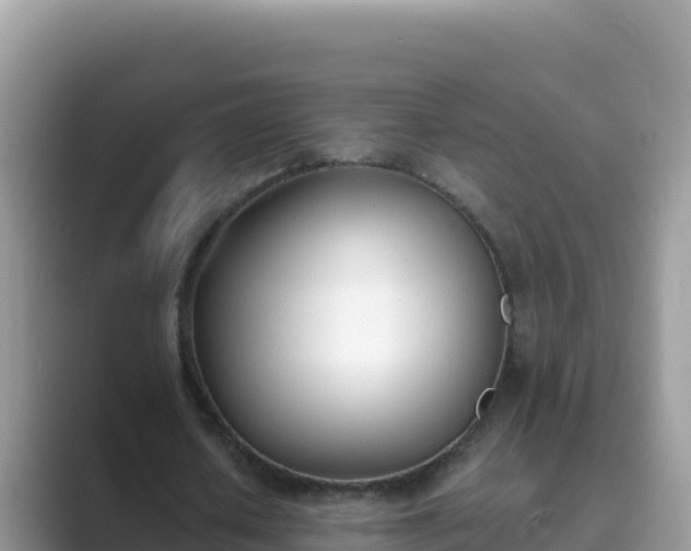 X0000089830626200707051039