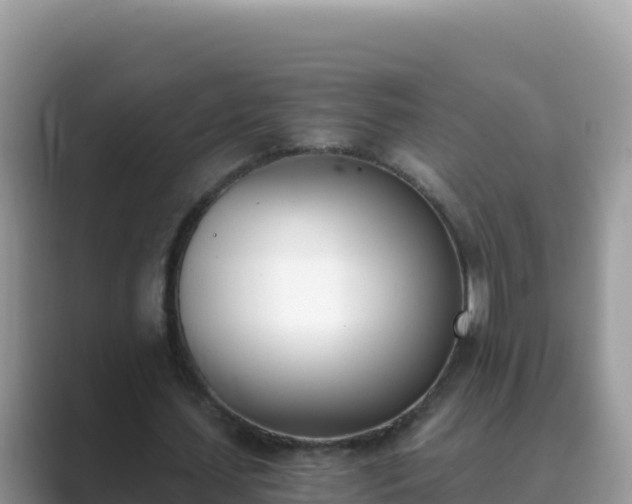 X0000089830627200707051039