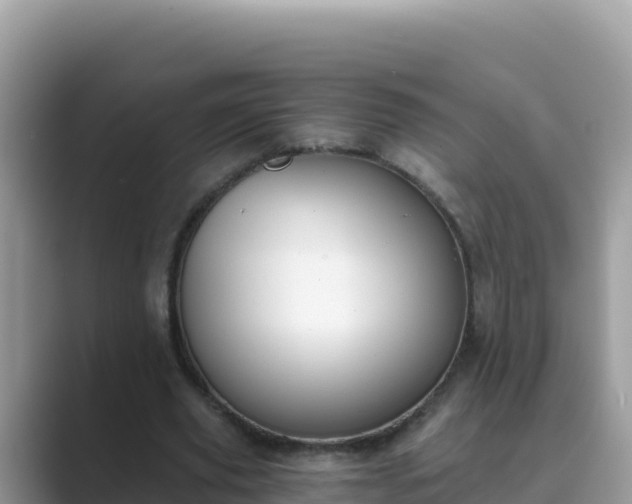 X0000089830629200707051039