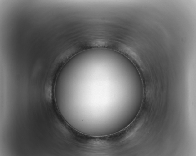 X0000089830633200707051039