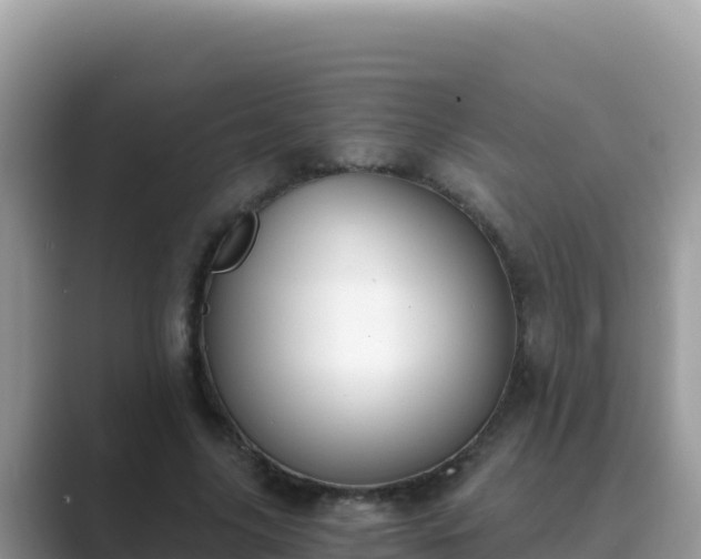 X0000089830635200707051039