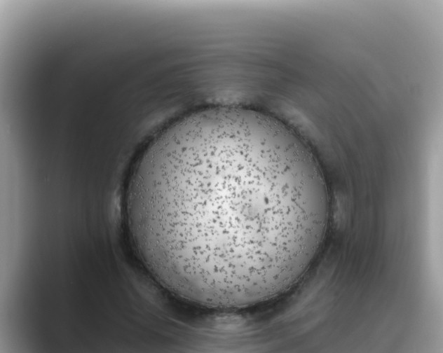 X0000089830636200707051039