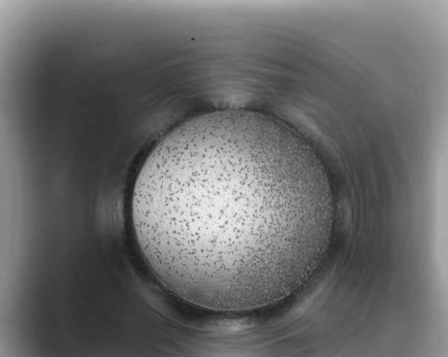 X0000089830638200707051039
