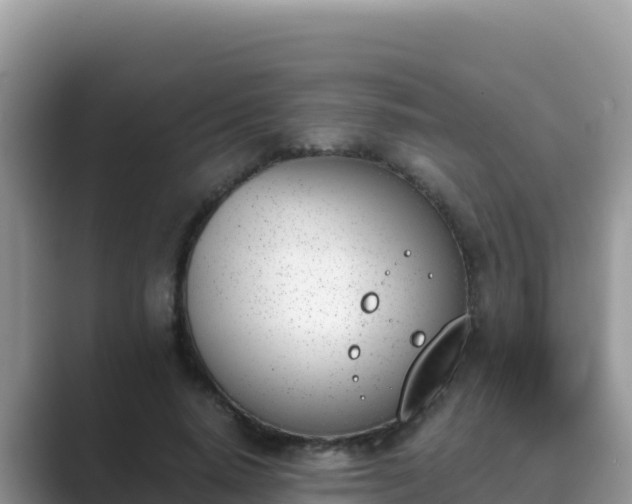 X0000089830640200707051039