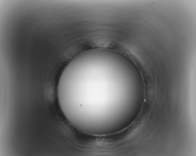 X0000089830641200707051039