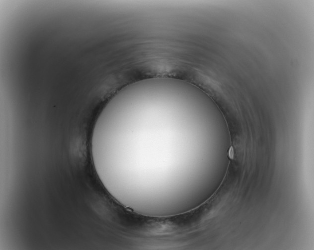 X0000089830642200707051039