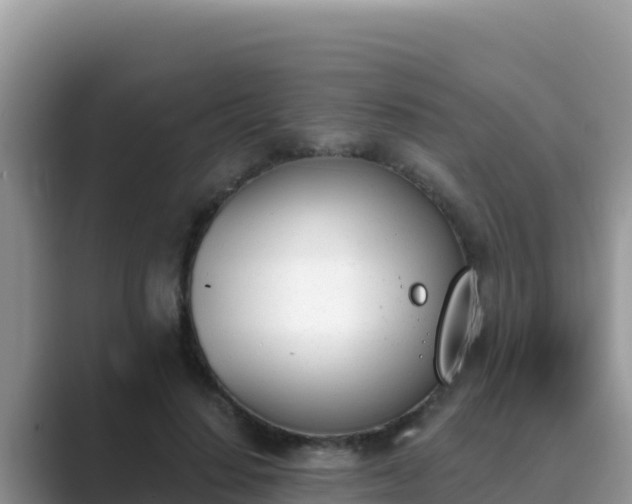 X0000089830644200707051039