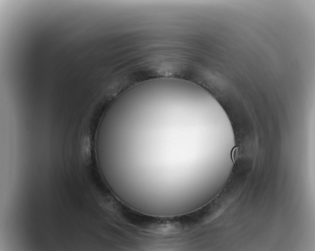 X0000089830646200707051039