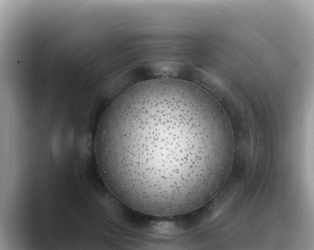 X0000089830649200707051039