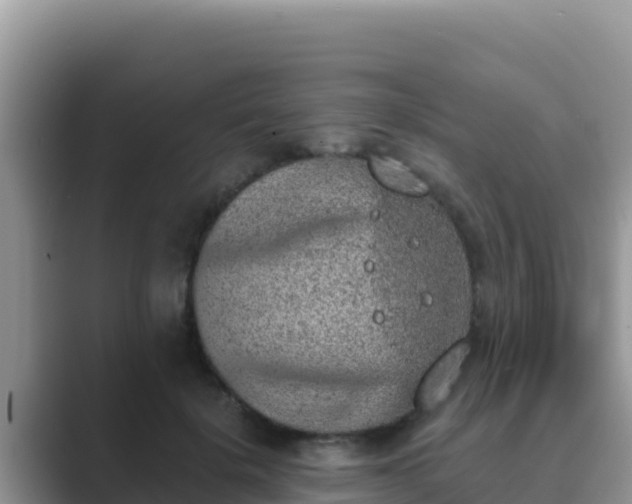 X0000089830652200707051039