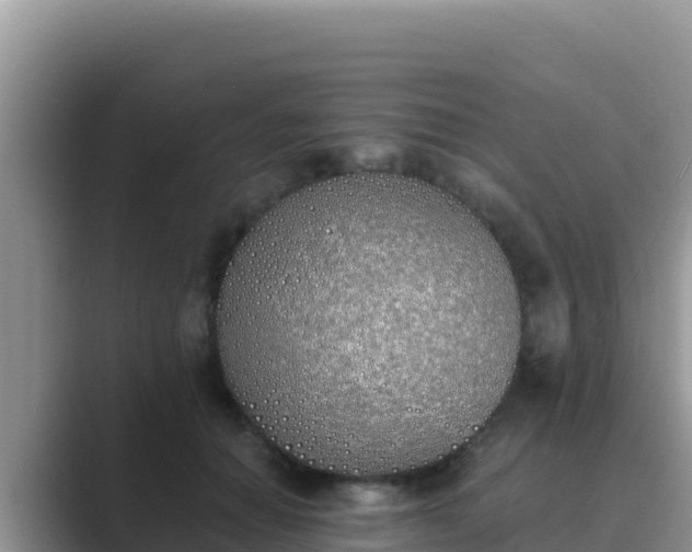 X0000089830654200707051039