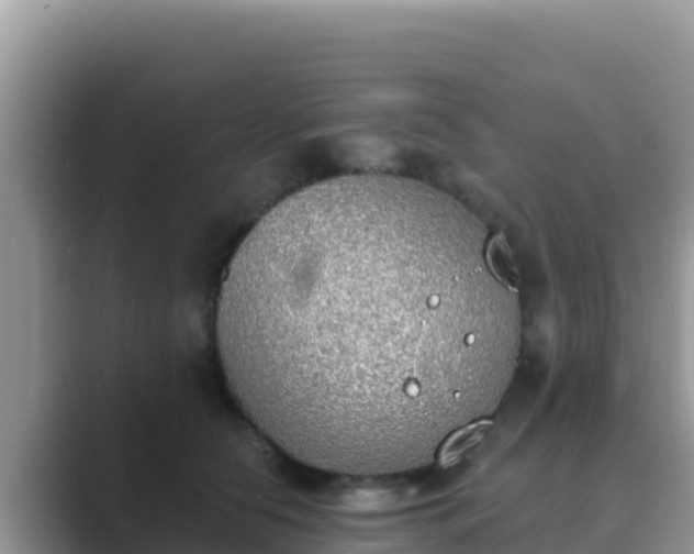 X0000089830658200707051039