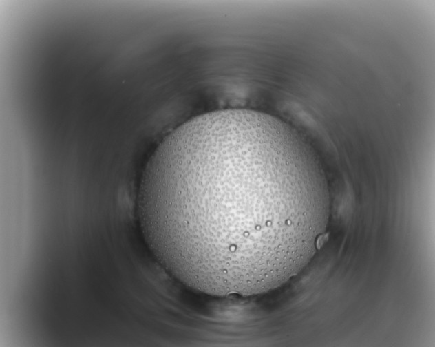 X0000089830661200707051039