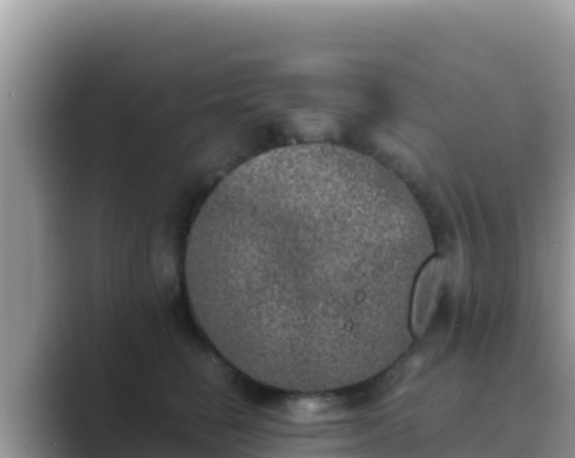 X0000089830662200707051039