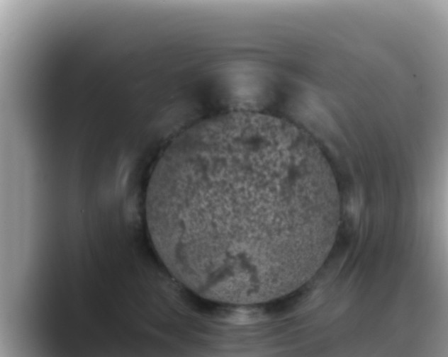 X0000089830663200707051039