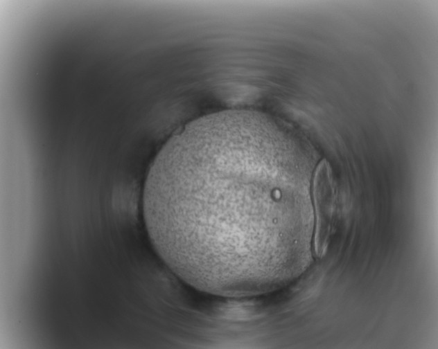 X0000089830664200707051040