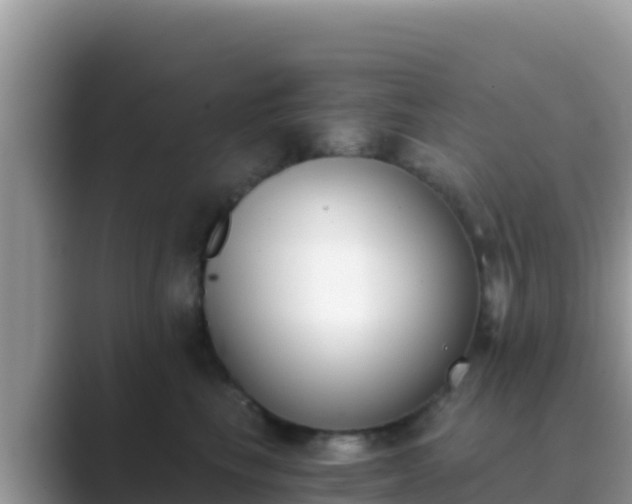 X0000089830665200707051040