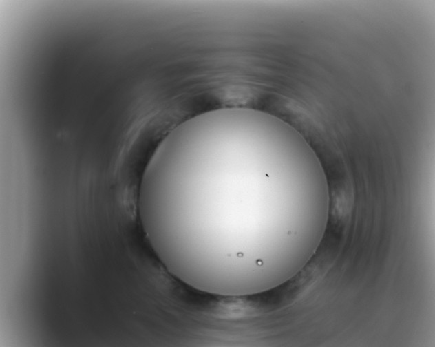 X0000089830666200707051040