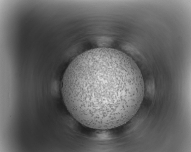 X0000089830667200707051040