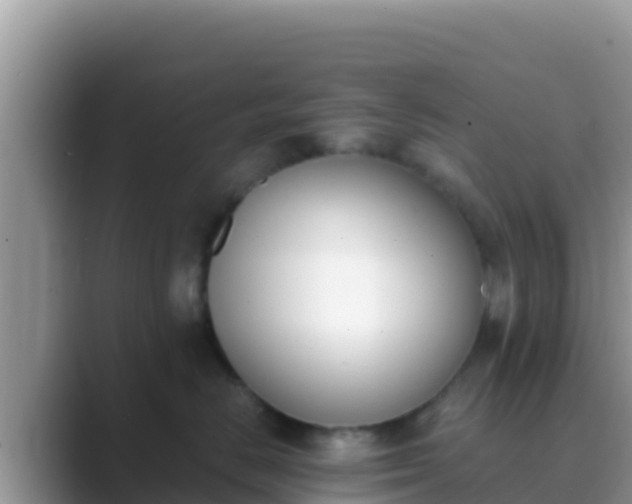 X0000089830670200707051040