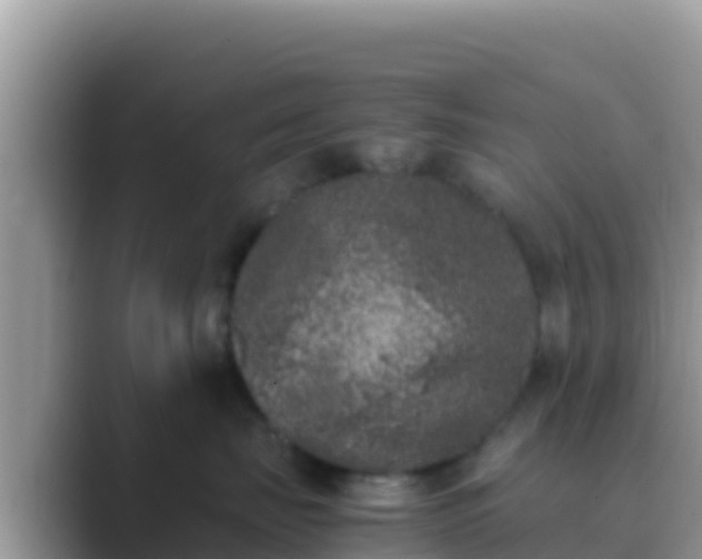 X0000089830671200707051040