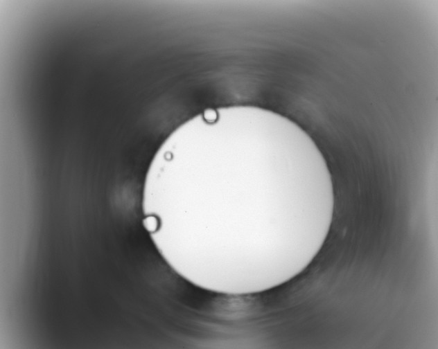 X0000089830672200707051040