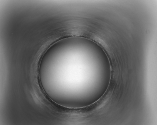 X0000089830673200707051039