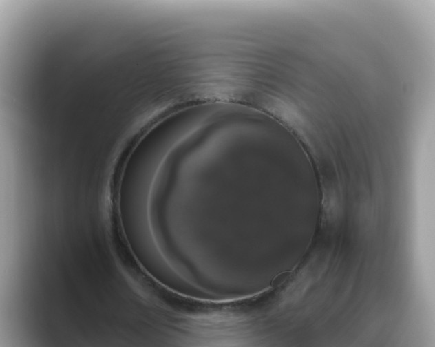 X0000089830674200707051039