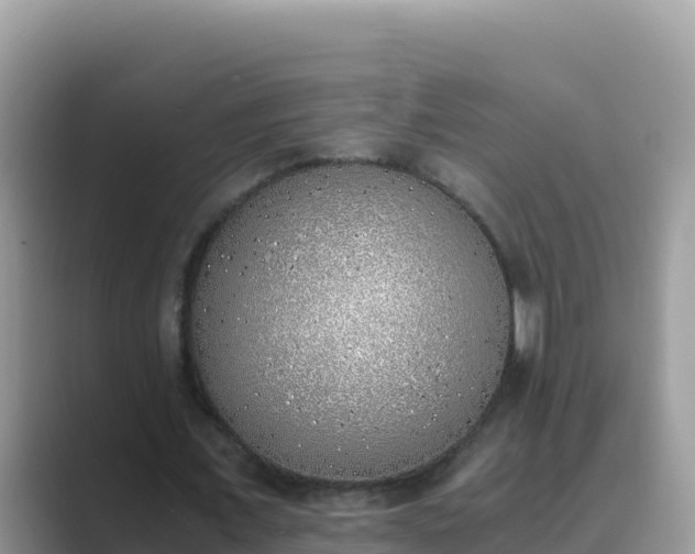 X0000089830675200707051039