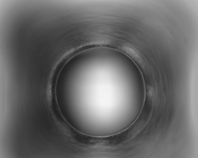 X0000089830676200707051039