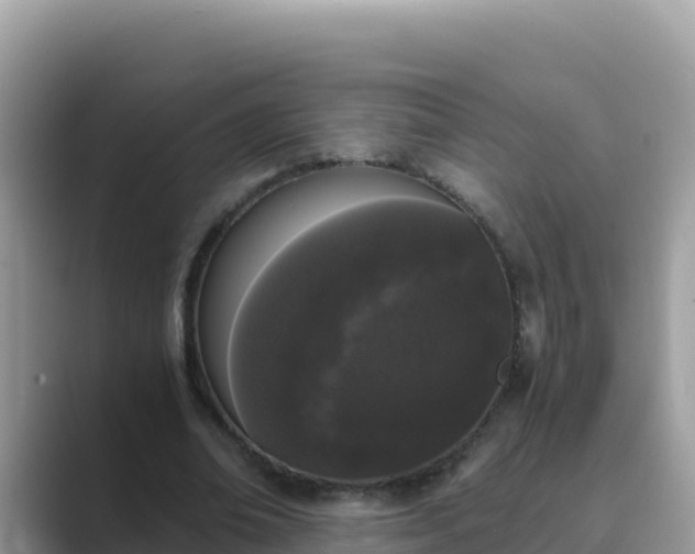 X0000089830678200707051039