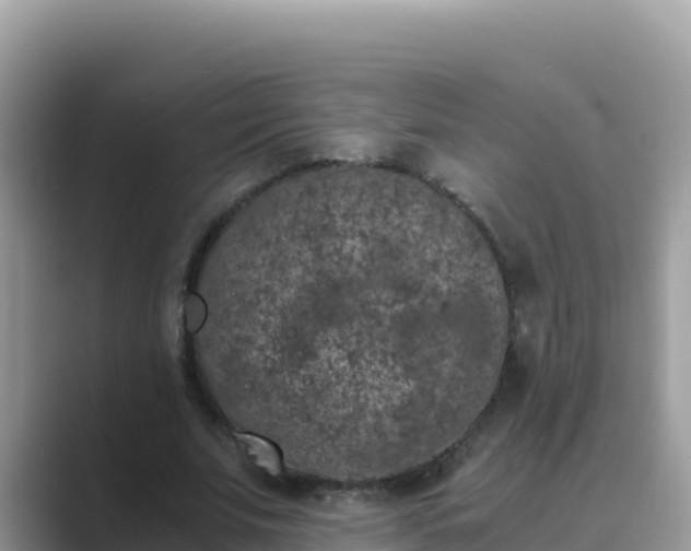 X0000089830679200707051039