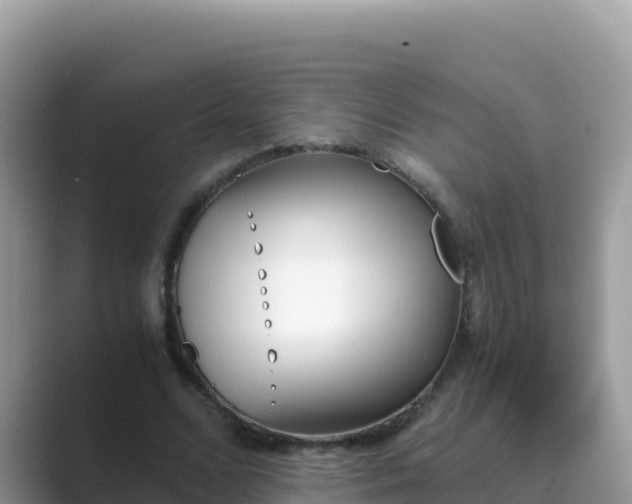 X0000089830680200707051039