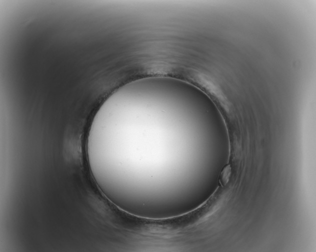 X0000089830681200707051039