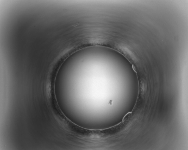 X0000089830684200707051039