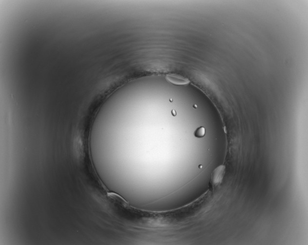 X0000089830688200707051039