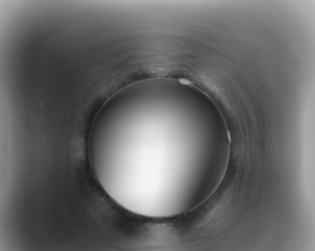 X0000089830689200707051039