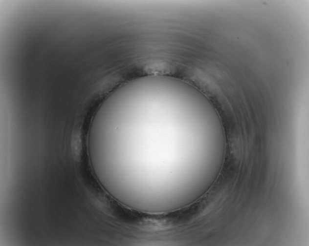 X0000089830690200707051039