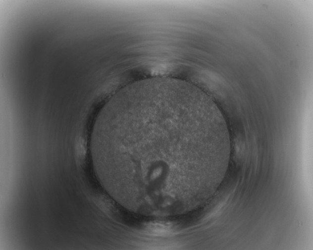 X0000089830691200707051039