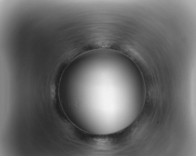 X0000089830693200707051039