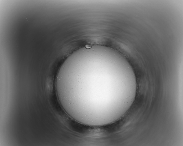 X0000089830695200707051039