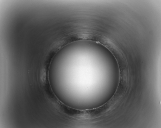 X0000089830696200707051039