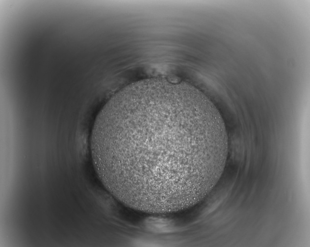 X0000089830699200707051039