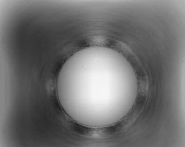 X0000089830701200707051039