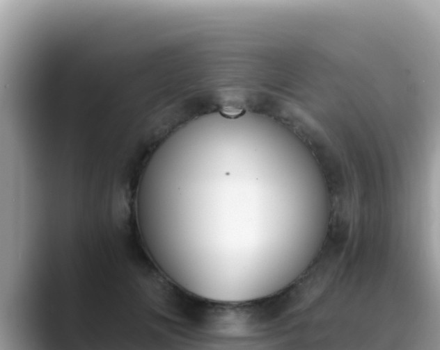 X0000089830702200707051039