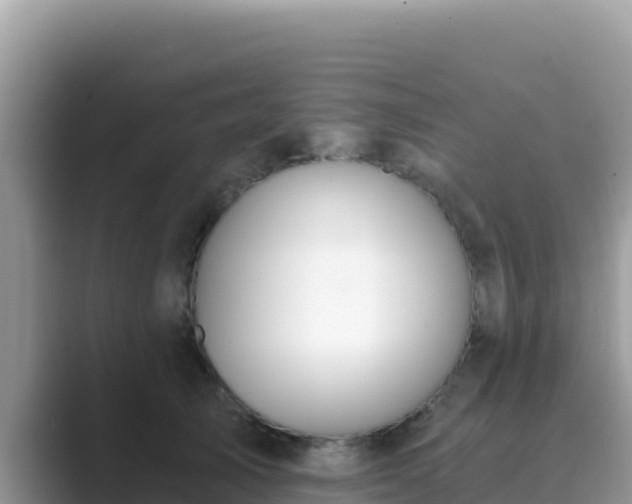 X0000089830705200707051039