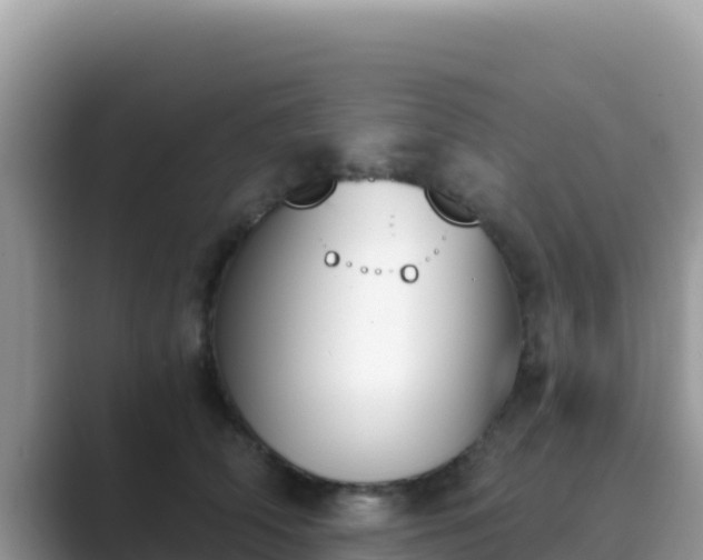 X0000089830706200707051039